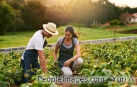 Nachhaltige Girokonten und Ökobanken im Vergleich auf biallo.de
