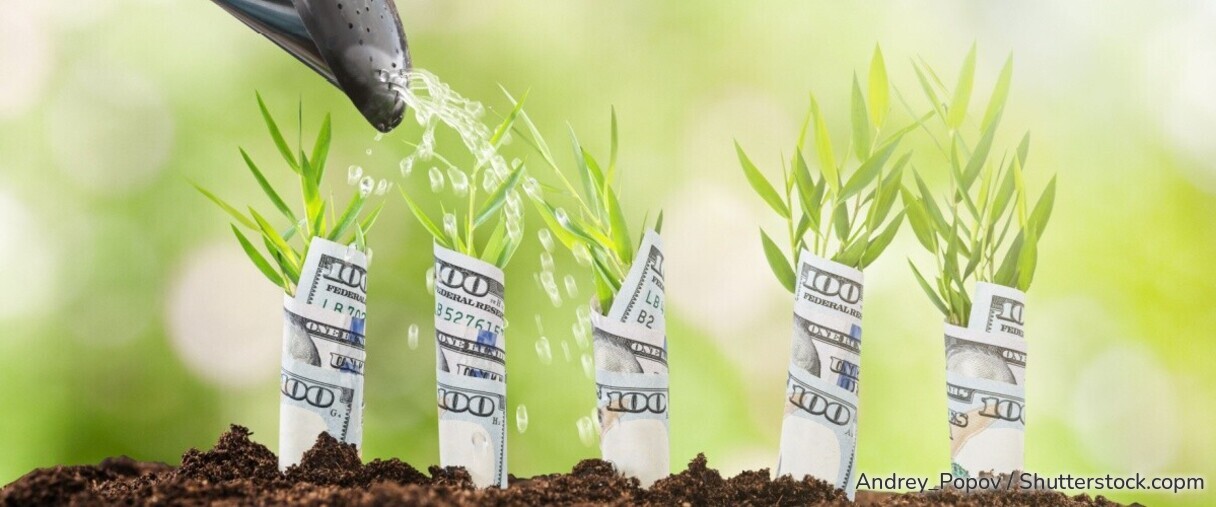 Hier gibt es die besten Aktionen im Frühling.