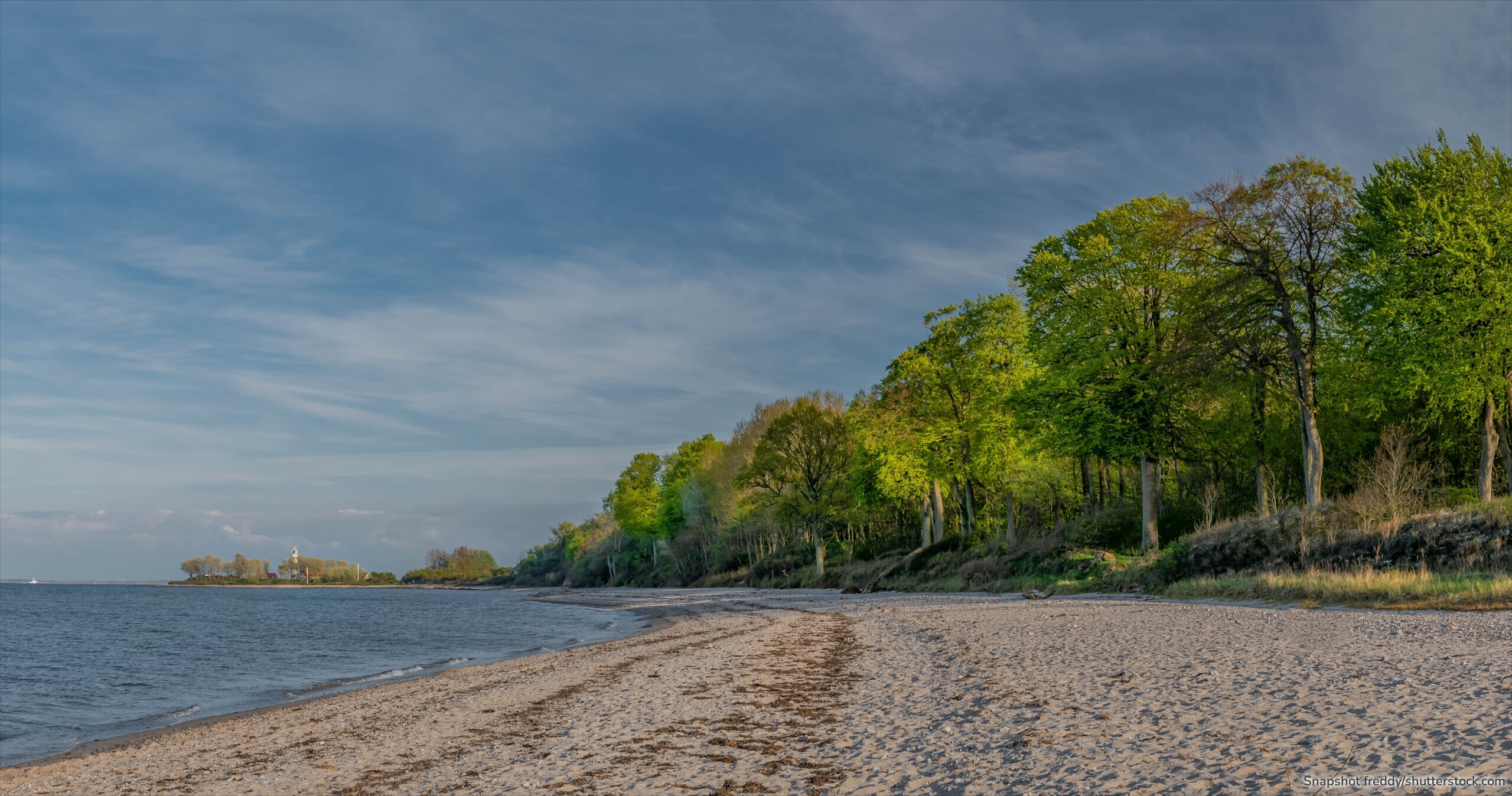 Mischwald in den Hüttener Bergen: Aufforstungsprojekt in Schleswig-Holstein bindet CO₂ und schützt die Ostsee vor Überdüngung.