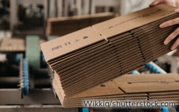 Richter & Heß entwickelt nachhaltige Verpackungslösungen aus moderner Wellpappe.