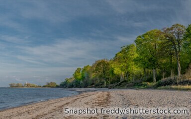 Mischwald in den Hüttener Bergen: Aufforstungsprojekt in Schleswig-Holstein bindet CO₂ und schützt die Ostsee vor Überdüngung.
