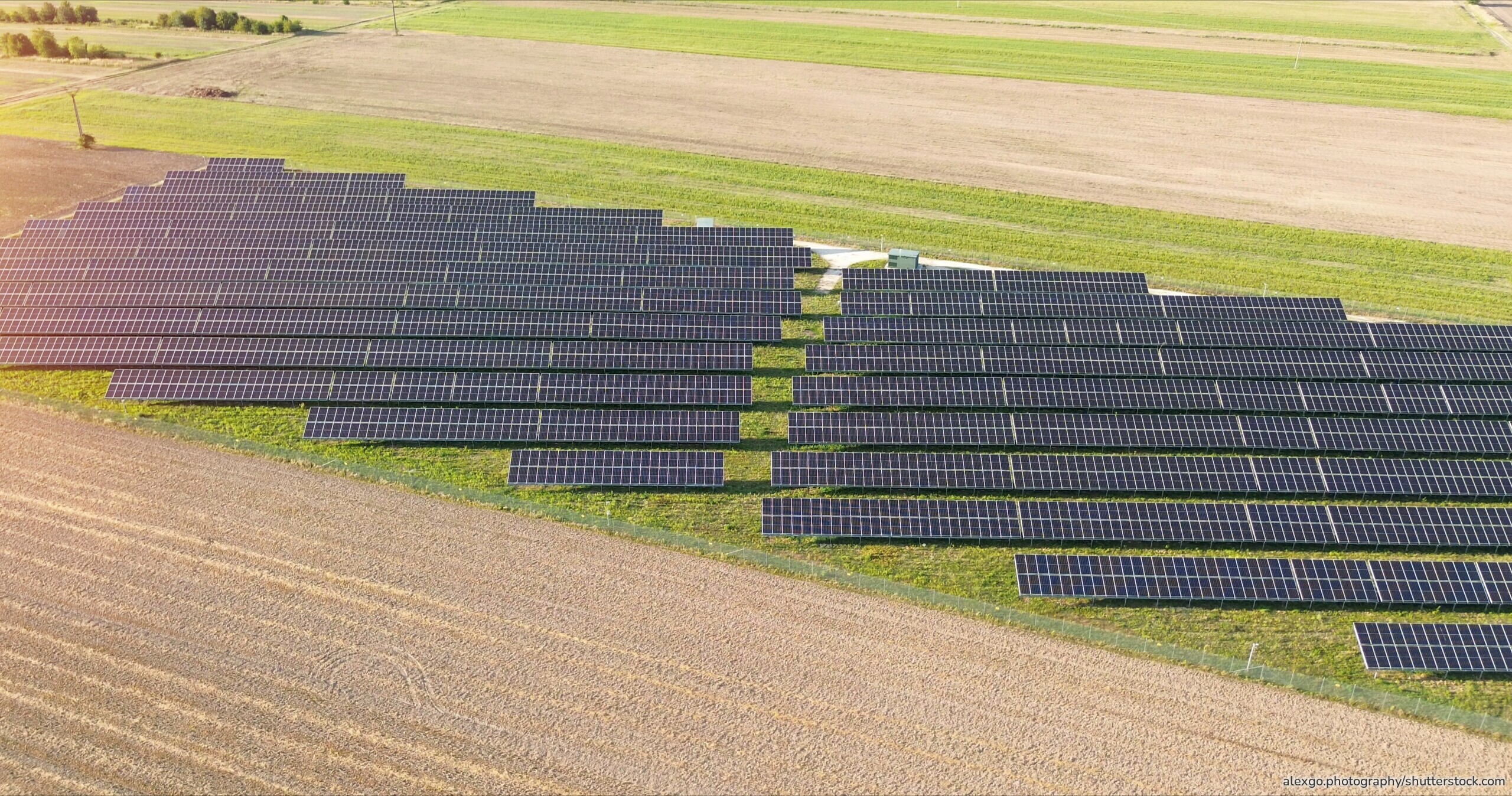 Photovoltaik-Module über landwirtschaftlichen Flächen ermöglichen die gleichzeitige Produktion von Strom und Ernte.