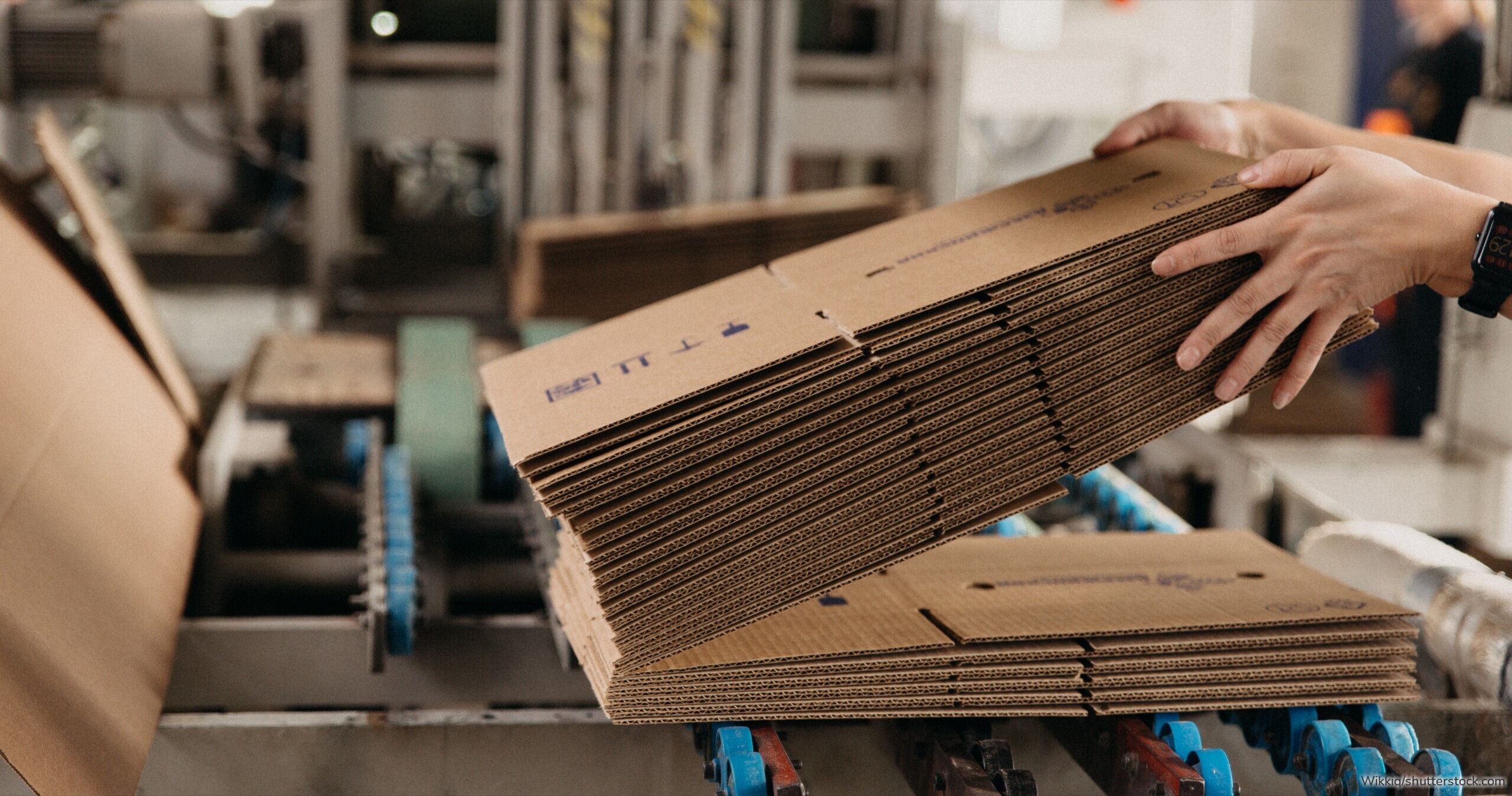 Richter & Heß entwickelt nachhaltige Verpackungslösungen aus moderner Wellpappe.