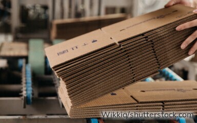 Richter & Heß entwickelt nachhaltige Verpackungslösungen aus moderner Wellpappe.